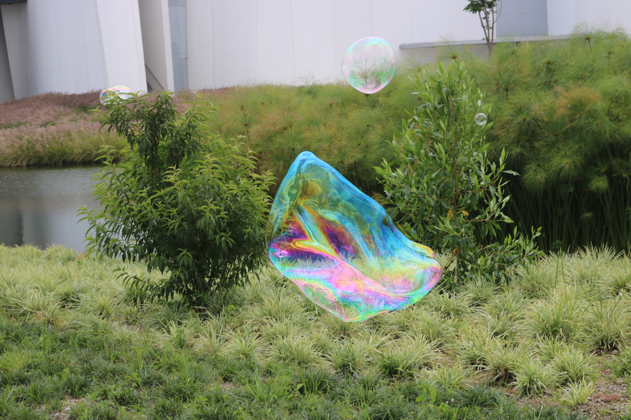 Burbuja con glicerina